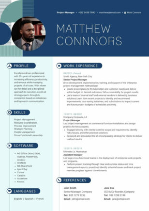 Professional Resume Format