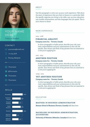 Professional CV Analyst Template