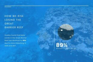 Coral Death News Visualization Template