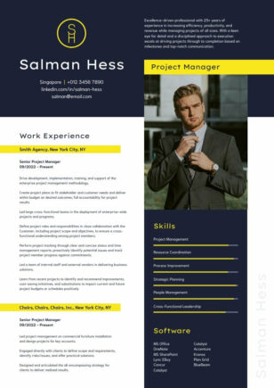 Sales CV