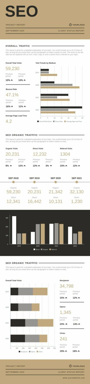 SEO Project Report Infographics Template